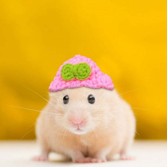 Adjustable Soft Pet Hat for Small Animals - Cute Frog Carrot Elephant Pig Mushroom Costume for Reptiles Birds Hamsters Hedgehogs - Lightweight Halloween Christmas Valentine's Day Accessory