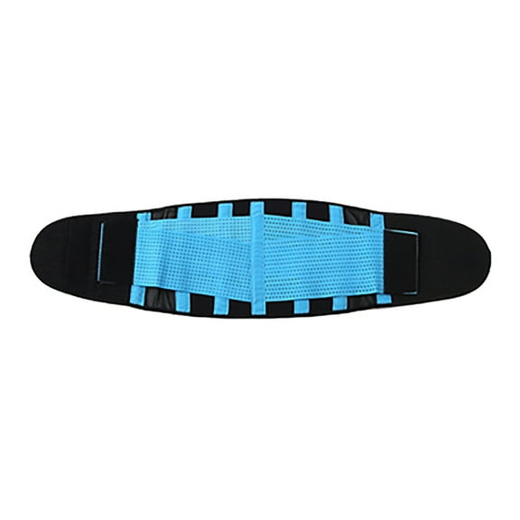 Adjustable Spring Waist Support Lumbar Trainer Strong Lower Back Brace Protector Sport Accessories