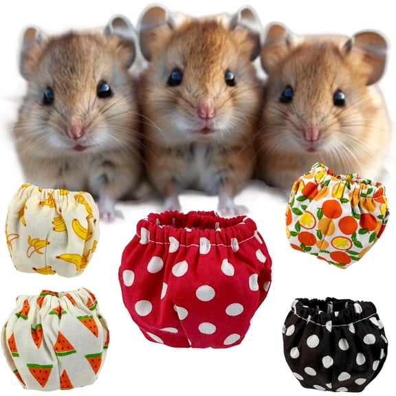 Adjustable Sugar Glider Diapers 5PCs Cute Reusable Washable Nappy Cloth Pee Pads Pull Up Stretchy Waist Climbing Diaper for Small Squirrel Rat Groundhog Hamster (Colorful Set 1, Medium)