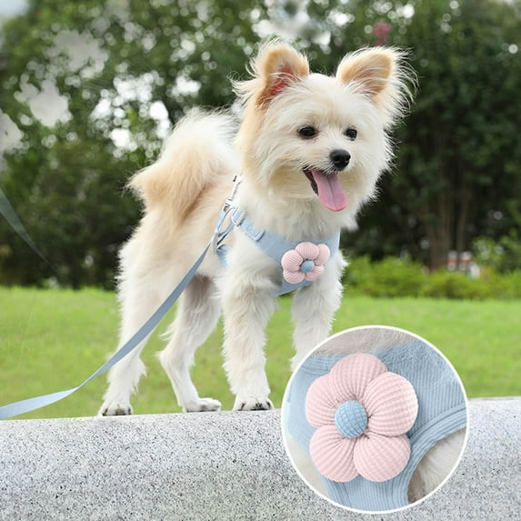 Adjustable Tightness No-Pull Pet and Leash Set, Breathable Vest for Small, Medium Dogs and Cats, Adorable Carrier and 1.2m Leash, Lightweight Easy to Walk Blue L