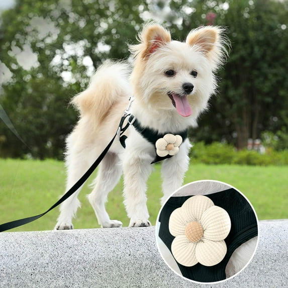 Adjustable Tightness No-Pull Pet and Leash Set, Breathable Vest for Small, Medium Dogs and Cats, Adorable Carrier and 1.2m Leash, Lightweight Easy to Walk Dark Green S