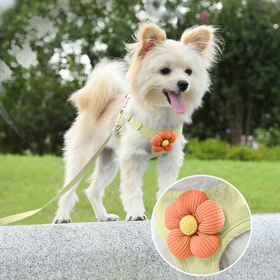 Adjustable Tightness No-Pull Pet and Leash Set, Breathable Vest for Small, Medium Dogs and Cats, Adorable Carrier and 1.2m Leash, Lightweight Easy to Walk Light Green L