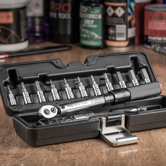 Adjustable Torque Wrench Set - High-Precision 1/4 Wrench with 2-20 Nm Range - Complete Bike Tool Kit with Hex, Torx Bits, and Case for Easy Storage