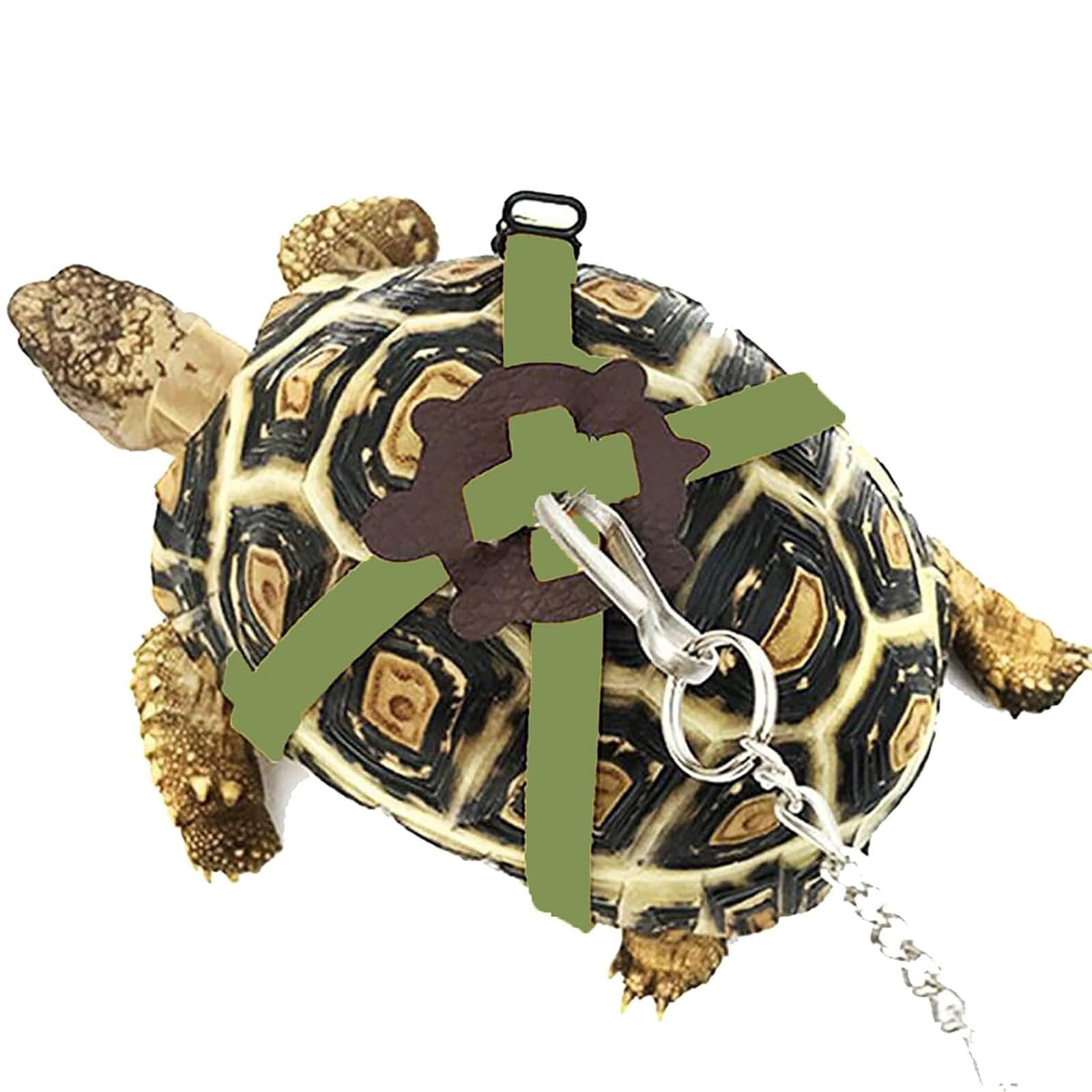 Tortoise Ropes Adjustable Turtle Leash Harness, Pet Tortoise Walking Rope with ...