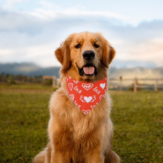 Adjustable Valentine's Day Pet Bandana Dog Scarf Style D, Cute Heart Pattern Dog Neck Scarf, Adorable Pet Bandana for Dogs Puppies Festive Holiday Party, Walking Grooming Photo Shooting