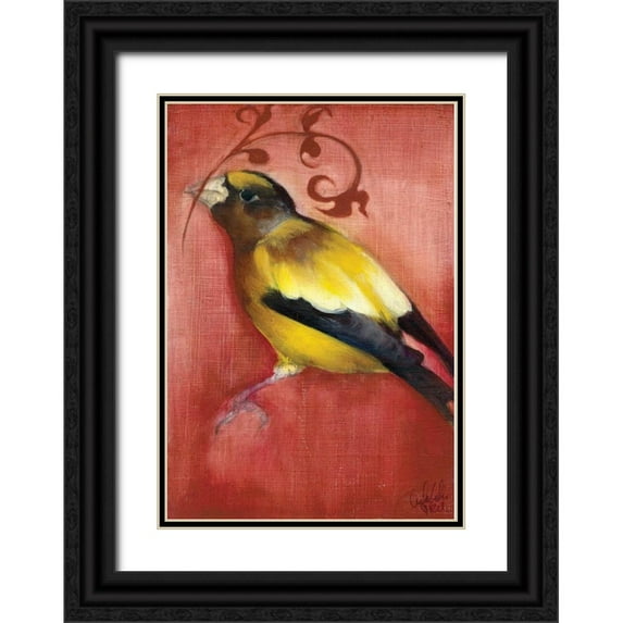 Adkin, Arielle 14x18 Black Ornate Wood Framed with Double Matting Museum Art Print Titled - Bird Study VI