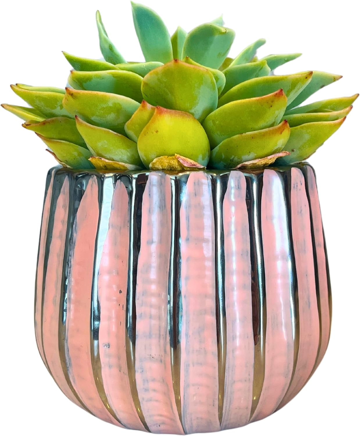 Chrome Pink Ceramic Round Indoor Succulent Planter