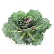 Admired By Nature Artificial Cabbage Home Kitchen Decoration