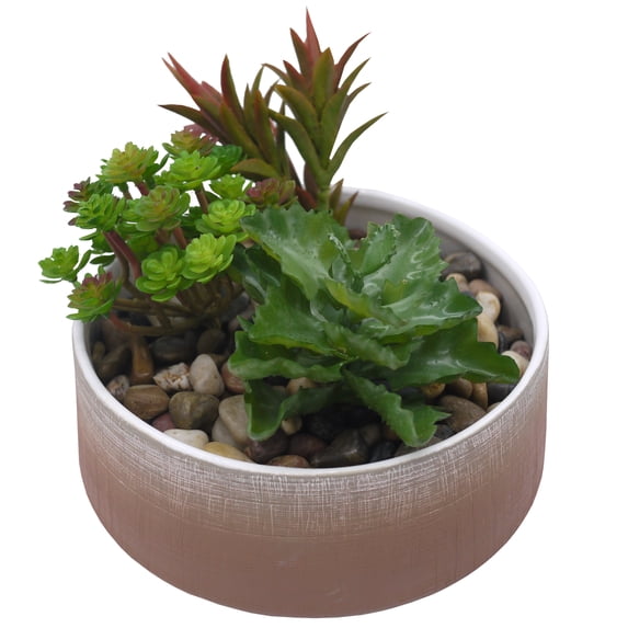 Admired By Nature Coffee two toned ombre ceramic tray, Planters for Succulent and Little Snake Plants, ABN5E150-LT BRN