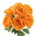 thumbnail image 1 of Admired By Nature GPB7305-MANGO 7 Stems Artificial Full Blooming Peony Flower Bush, Mango, 1 of 1