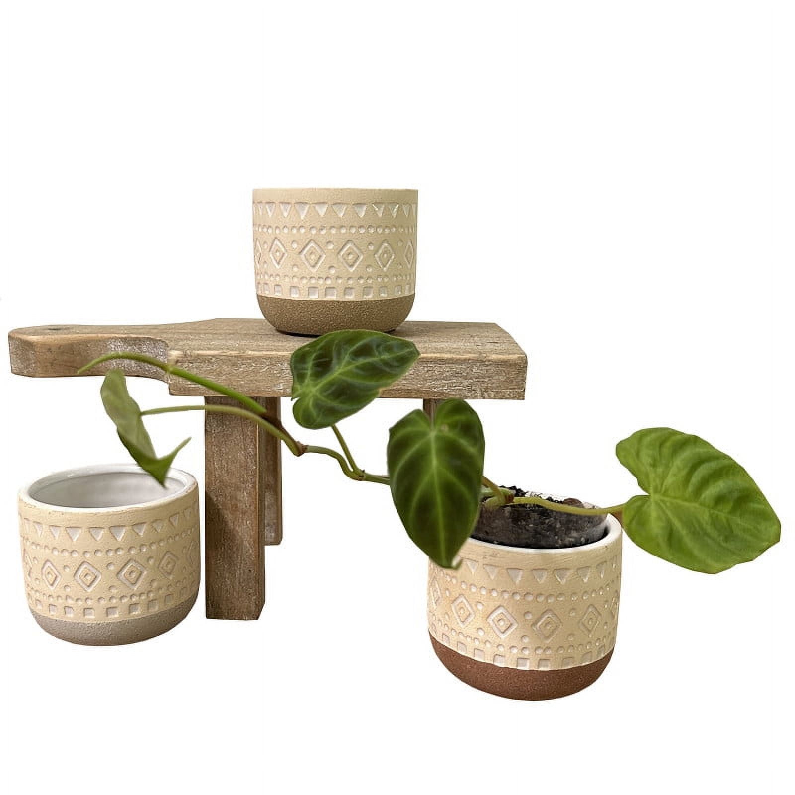 Set of 3 Beige Ceramic Succulent Planters