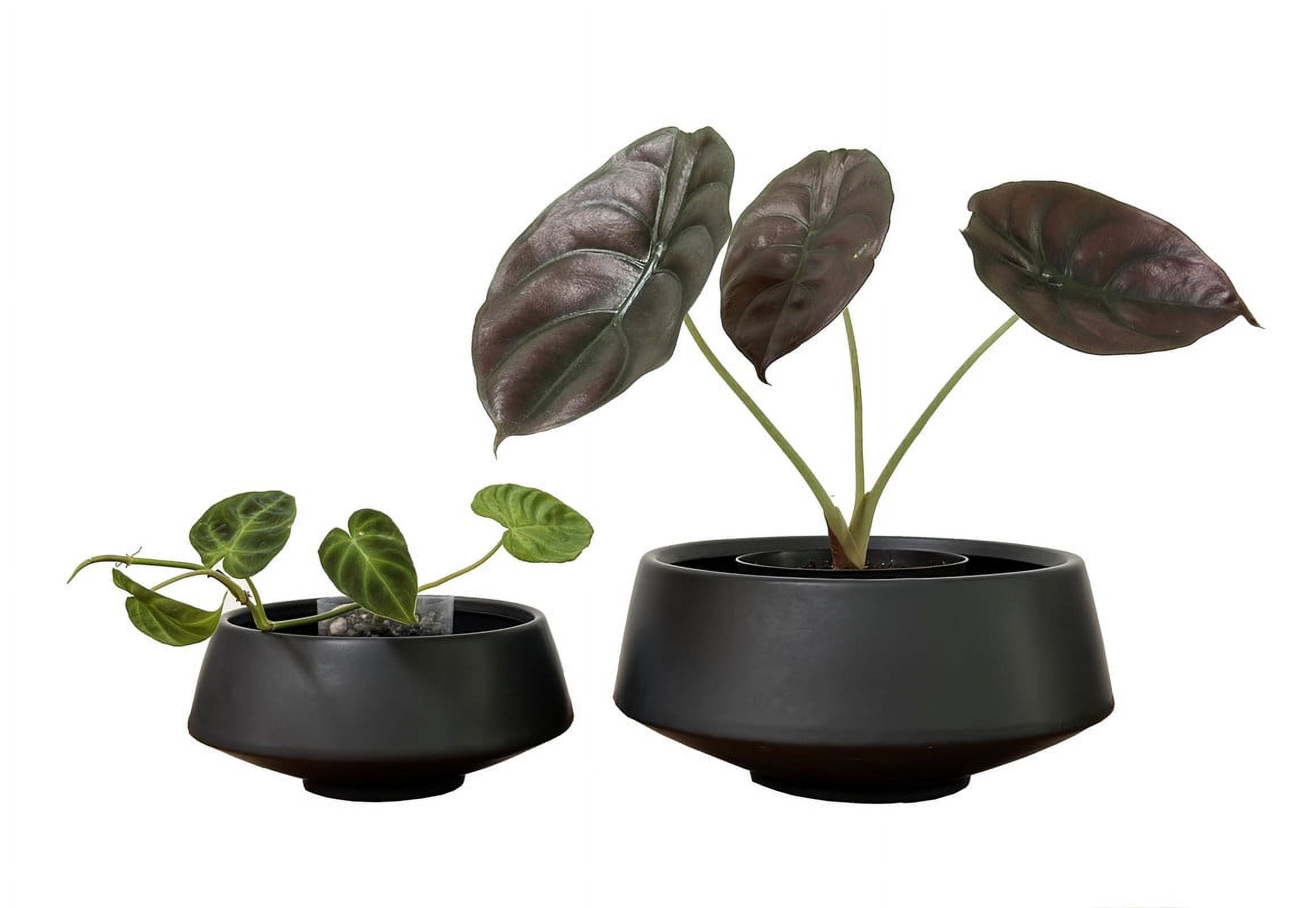 Black Ceramic Indoor Succulent Planters Set of Two