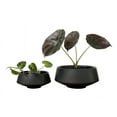 thumbnail image 1 of Admired by Nature Set of 6.5" & 9.5" Ceramic Flower Planters, Ceramic Pot Planter, Plant Pots Indoor Ceramic, Houseplant Ceramic Pot, Decorative Planter For Indoor Succulent Plant Home Décor, Black, 1 of 1