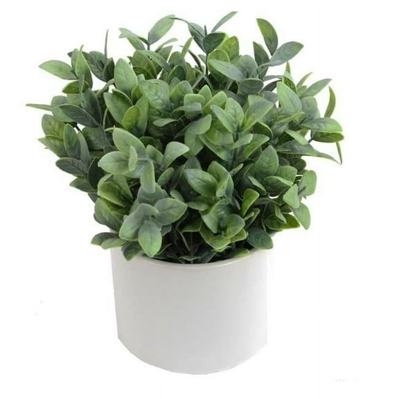 Admired by Nature ABN5P022-NTRL-R Artificial Frosted Ruscus Plant with Ceramic Pot - Green
