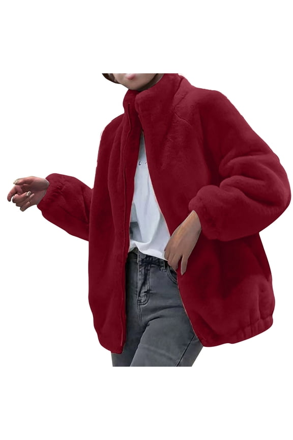 Women's Plus Size Jacket Long Balloon Sleeve Relaxed Mid Length Fall Winter Warm Teddy Coat