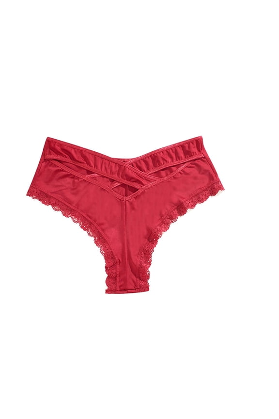 Womens Plus Size Brief Back Crisscross Floral Lace Glossy Satin Stretch Panties