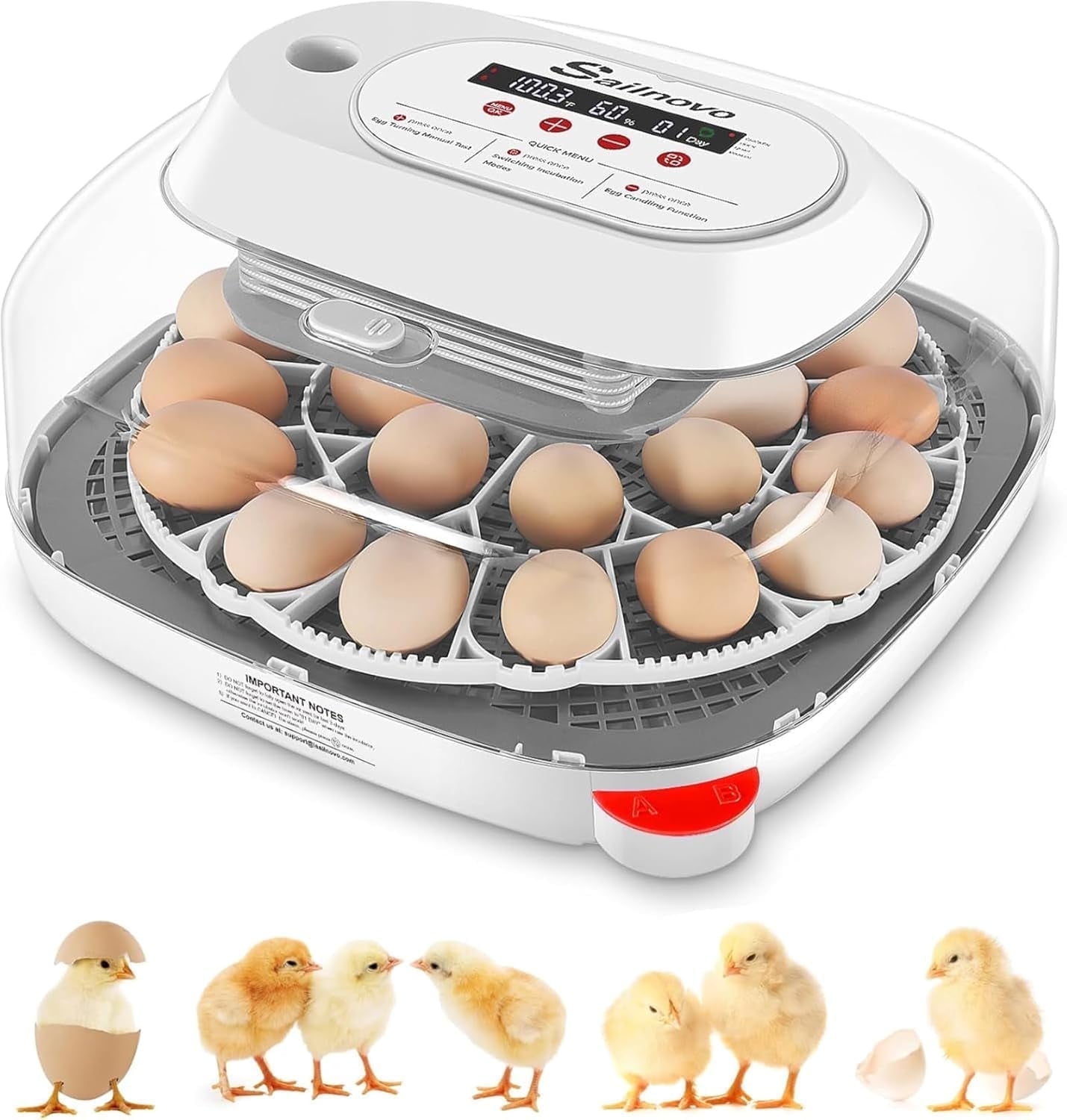 Adnoom 24 Egg Incubator for hatching chicks, Incubator with Temperature ...