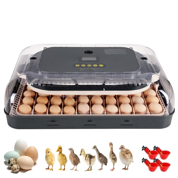 Adnoom 70 Egg Incubator for Hatching Eggs, Chicken Incubator for Eggs with Automatic Egg Turning and Humidity Control, Temperature Control & Egg Candler, Incubator for Chicken Quail Duck Goose Bird