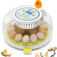 thumbnail image 1 of Adnoom Egg Incubator, 18 Eggs Automatic Incubator with Temperature Control and Automatic Egg Turning Function for Hatching Chickens, Ducks, Geese, Quails, and Birds, Built-in Egg Candler, 1 of 8