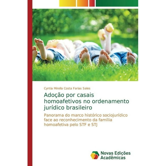 Adoção por casais homoafetivos no ordenamento jurídico brasileiro (Paperback)