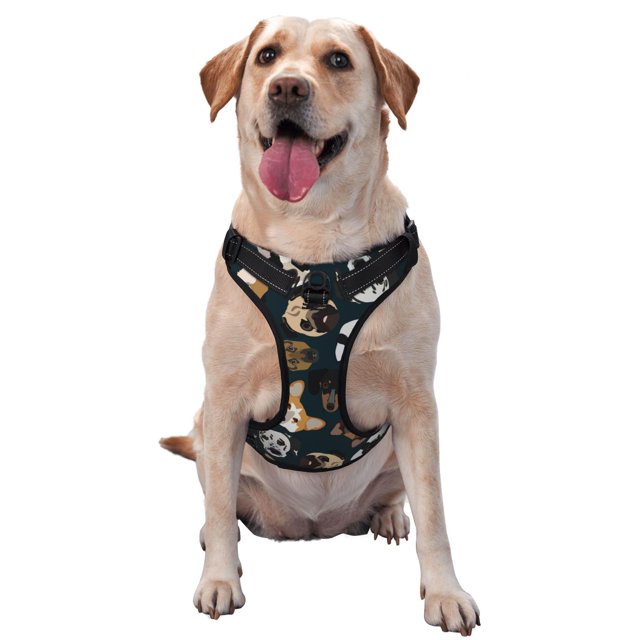 Adobk Dogs Print No Pull Dog Harness,3 Snap Buckles Reflective Oxford No Choke Puppy Harness For Small Medium Large Dogs-Large