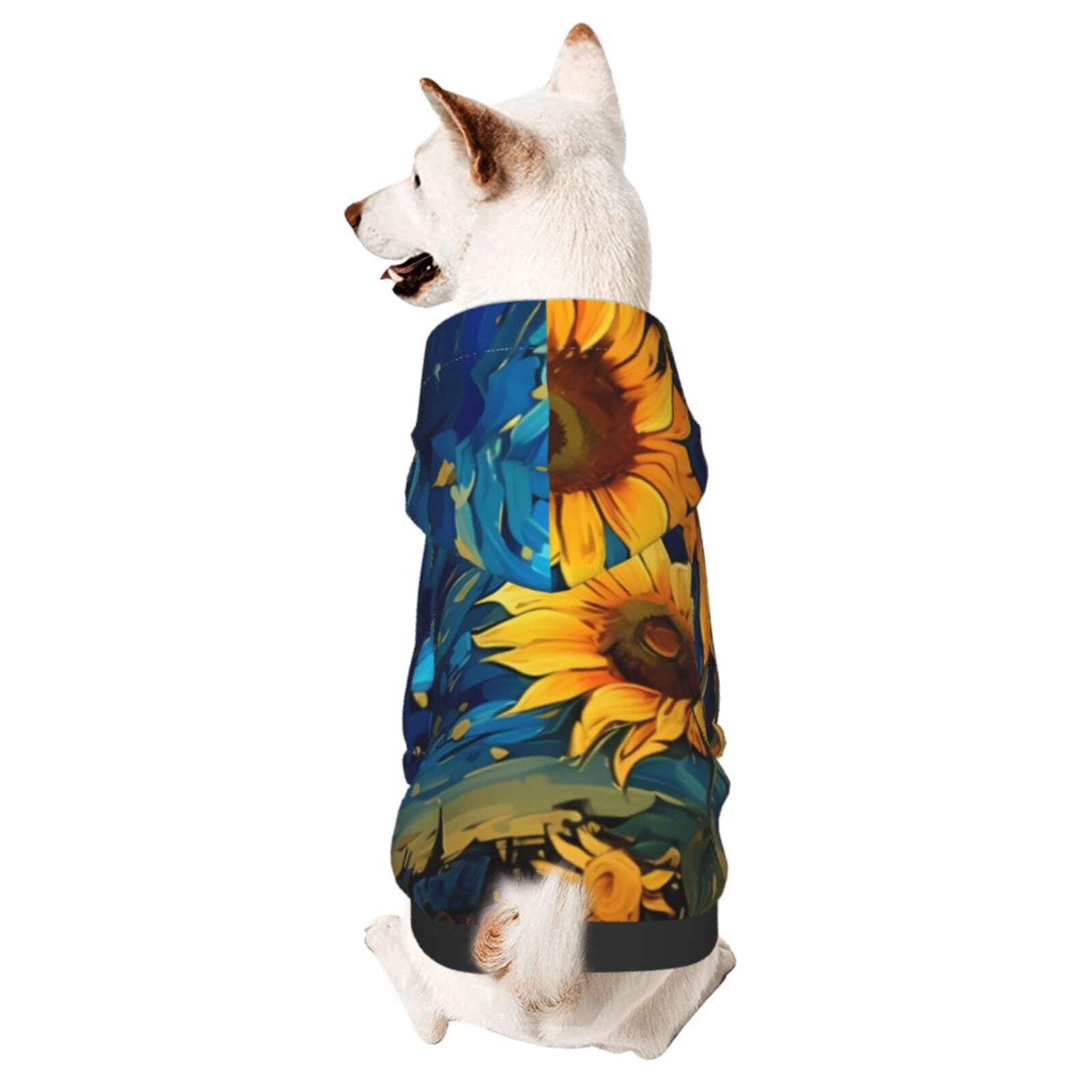 After the Southwest Rain Pet Dog Hoodie