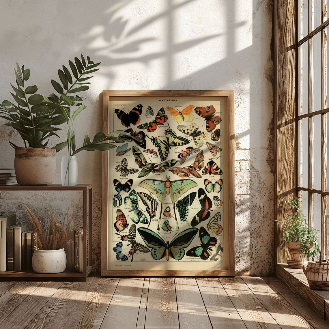 Feeff Adolphe Millot Butterflies Wall Art Print, Unframed Paper Poster ...
