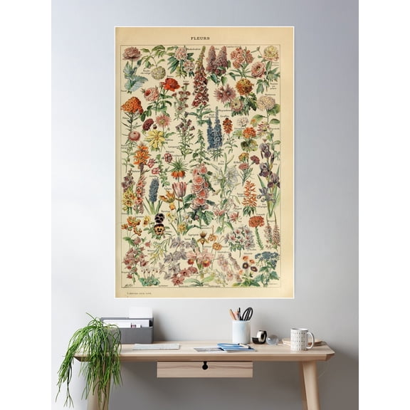 Adolphe Millot Fleurs B Poster Wall Art, Modern Wall Decor For Living Room Bedroom, 8x12 UNFRAMED