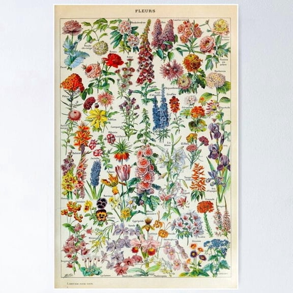 Adolphe Millot Hd Fleurs Poster , Poster Print Only