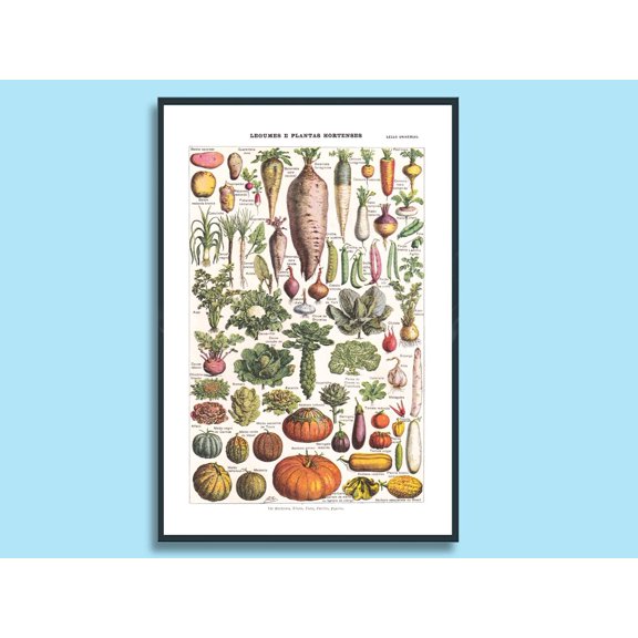 Adolphe Millot Vegetable Botanical Print, Unframed Paper Poster 8x10in