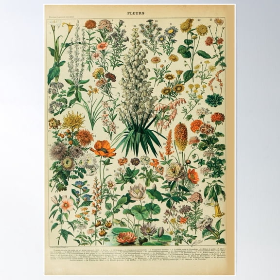 Adolphe Millot Vintage Poster Wall Art, Modern Wall Decor For Living Room Bedroom, 24x36 UNFRAMED