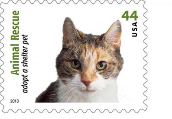 Adopt A Shelter Pet #2 Canvas Art - US POSTAL SERVICE (20 x 28)