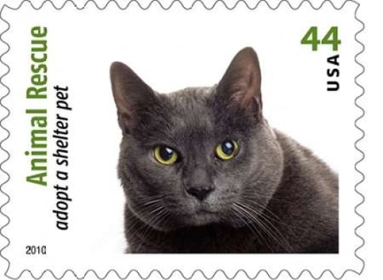 Adopt A Shelter Pet #3 Canvas Art - US POSTAL SERVICE (18 x 24)