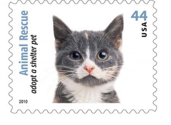 Adopt A Shelter Pet #4 Canvas Art - US POSTAL SERVICE (18 x 24)