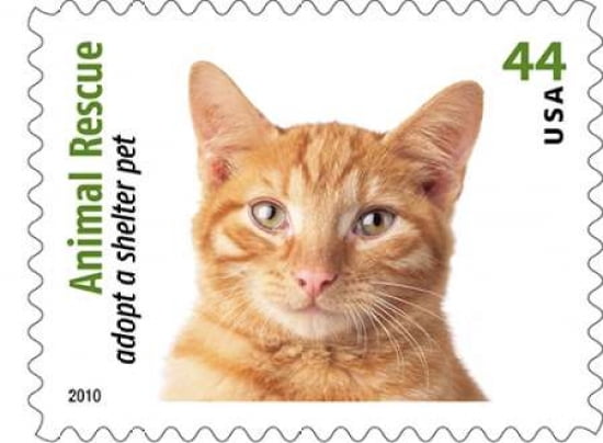 Adopt A Shelter Pet #5 Canvas Art - US POSTAL SERVICE (18 x 24)