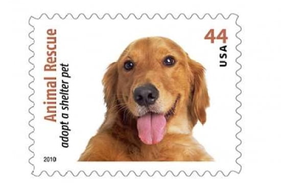 Adopt A Shelter Pet #9 Canvas Art - US POSTAL SERVICE (12 x 18)