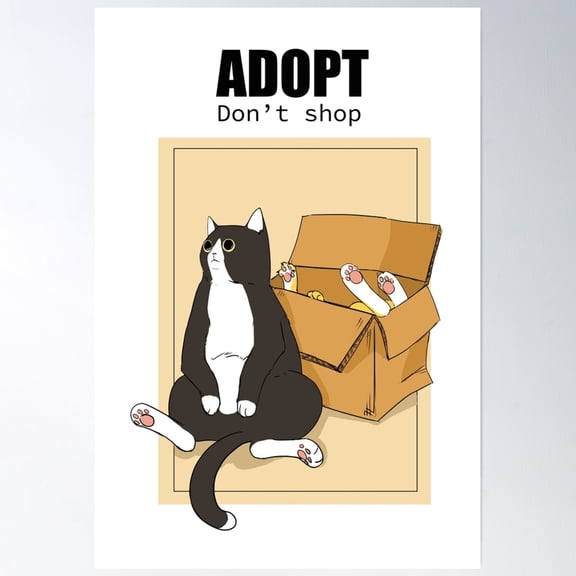 Adopt Don'T Shop Quote With Cat In A Box Poster Wall Art, Modern Wall Decor, 16x24 UNFRAMED