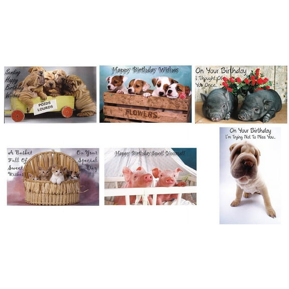 Adorable Animals Birthday Greeting Card Assortment - 12 Pack