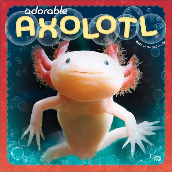 Adorable Axolotl 2027 12 X 24 Inch (Hanging) Monthly Square Wall Calendar Plastic-Free, (Paperback)