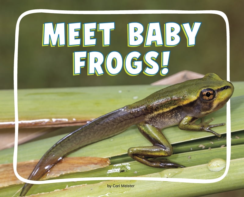 Knowledge Builders: Adorable Baby Animal Meet Baby Frogs!, (Paperback)