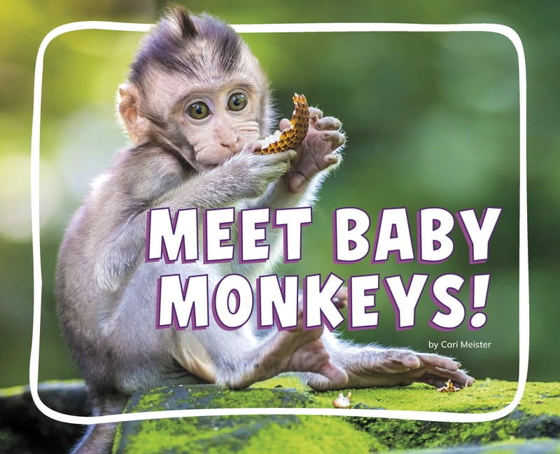 Knowledge Builders: Adorable Baby Animal Meet Baby Monkeys!, (Paperback)