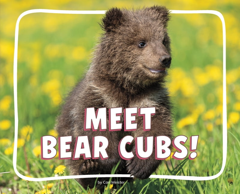 Knowledge Builders: Adorable Baby Animal Meet Bear Cubs!, (Paperback)