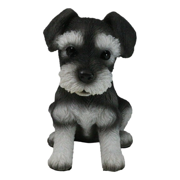 Adorable Black and Silver Miniature Schnauzer Puppy Dog Home Decor Figurine