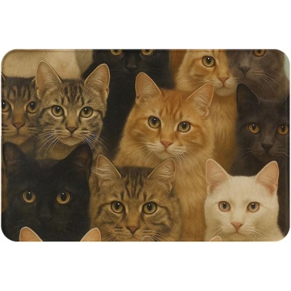 Adorable Cat Face Doormat Non-Slip Washable Floor Mat Indoor Outdoor 16x24in