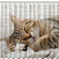 Adorable Cat Nap Printed Shower Curtain Cute Cartoon Design Smiling Cat