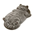 thumbnail image 1 of Adorable Cat Shaped Washable Floor Rug, Quick Dry Water Absorbent Non Slip Doormat for Bathroom Entryway Indoor Decor, Cute Pet Themed Home Mat Perfect Gift for Cat & Pet Lovers,15.75X23.62In, 1 of 6