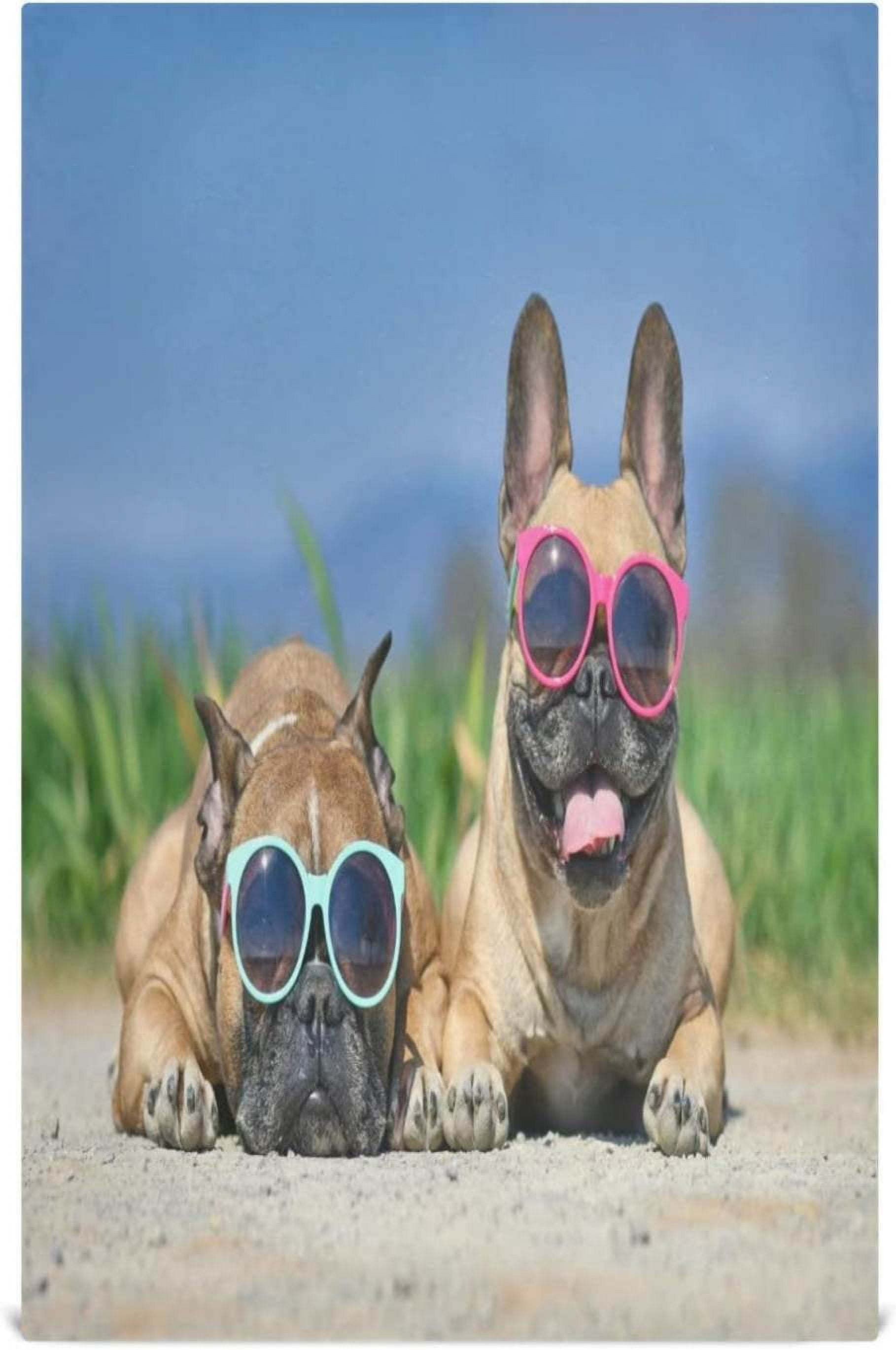 Adorable Cute French Bulldog Kitchen Dish Towels Set of 1 Summer Sunglasses Washable Tea Towels Dishcloths Lint Free 18x28 Inch Fast Drying for Kitchen Restaurant Bar Clean Walmart