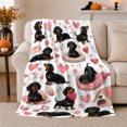thumbnail image 1 of Adorable Dachshund Theme Pink Hearts Dog Lover, Playful Pet Portrait Pattern, Warm Flannel Blanket for Living Room and Reading Nook, Dog Lovers Friendship Gift, Pet Lover Home Decor, 1 of 9
