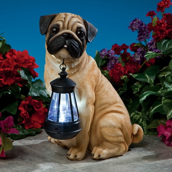 Adorable Fawn Pug Puppy Dog Garden Sculpture Holding Solar Lighted Lantern
