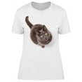 thumbnail image 1 of Adorable Flufflt Gray Cat T-Shirt Women -Image by Shutterstock, Female Small, 1 of 2